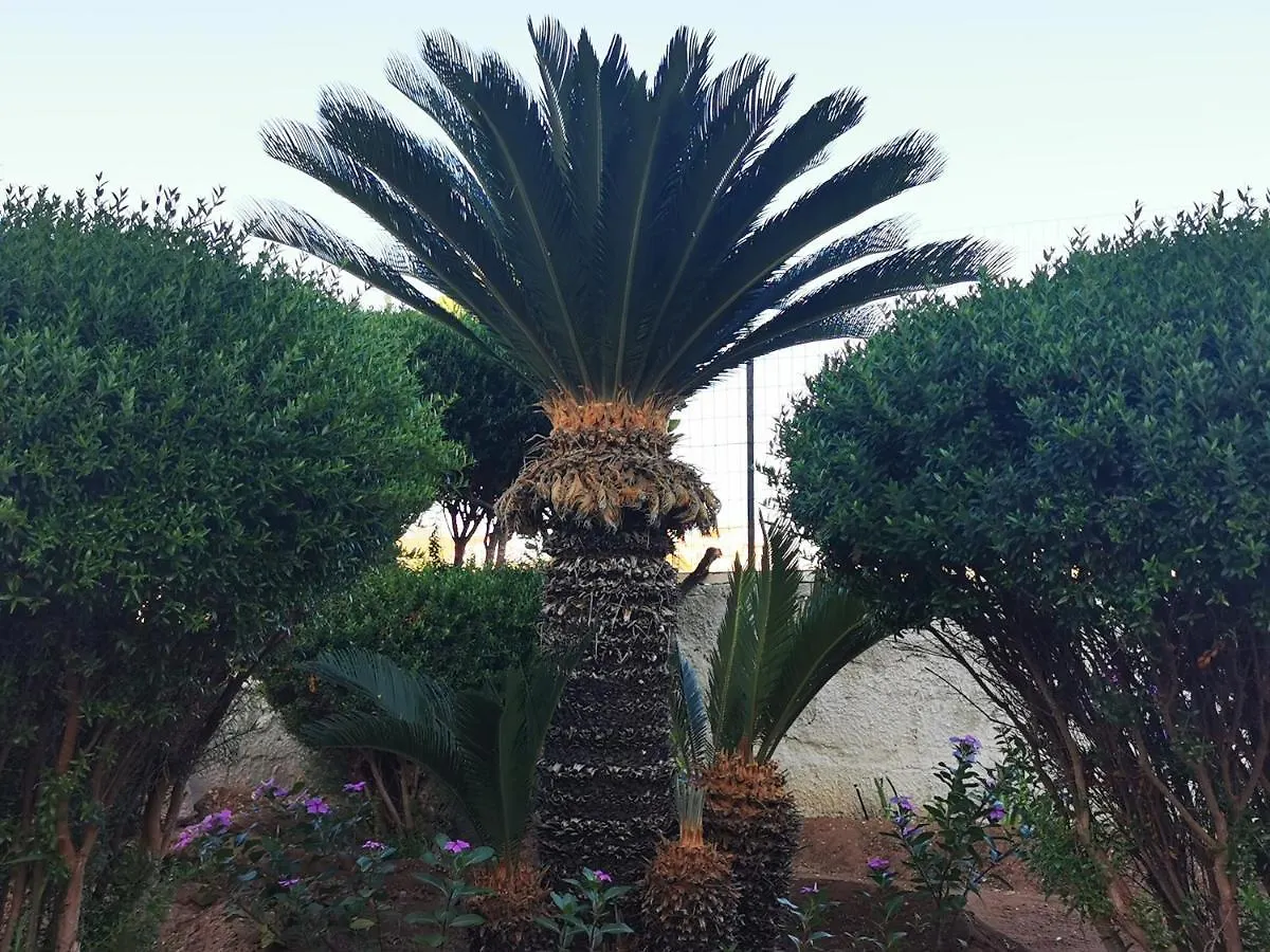 Palorosso House Villa Donnalucata  Holiday home Donnalucata (Sicily)